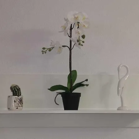 Charming Refuge In San Telmo